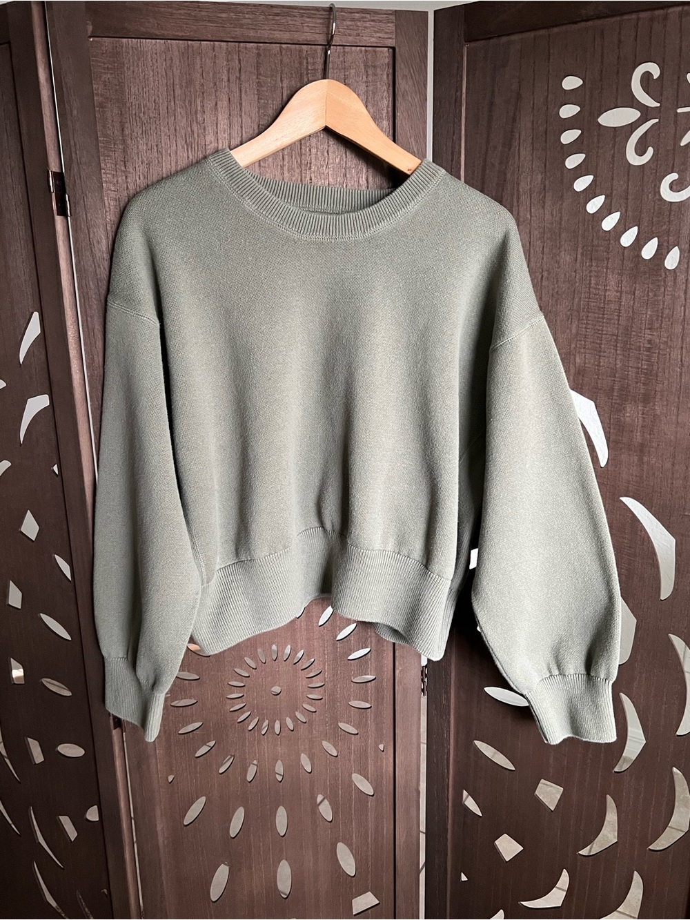 aerie Olive Crewneck Sweater